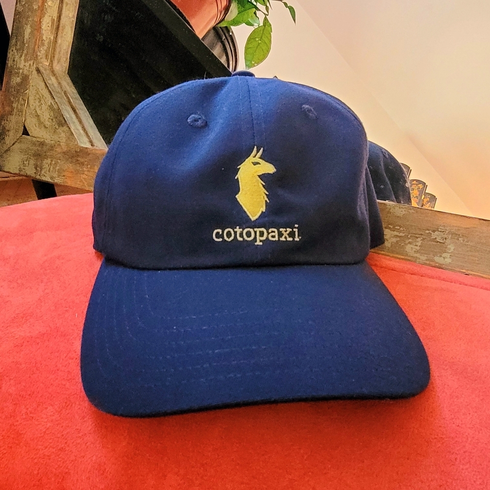 Cotopaxi Dad Hat Llama Logo Navy Blue Lime Green Hat Cap